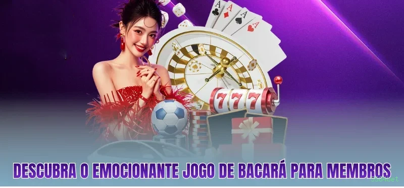 Cashback semanal 5584bet