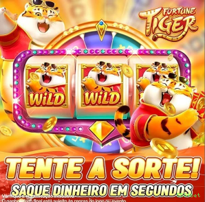 Dicas para ganhar na 5584bet